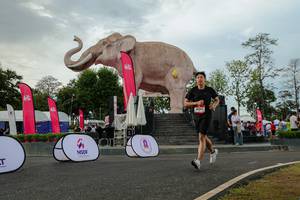 BIB: 
                            <button type="button" onclick="openModal(26528603)" class="btn btn-primary btn-sm float-right btn-popup" data-toggle="modal" data-target=".modal-high-quality">
                        <i class="fas fa-shopping-cart"></i> Add to Cart
                    </button>
                                            <button type="button" onclick="isThisMe(26528603, true)" class="btn btn-success btn-sm float-right btn-popup btn-isme hidden" data-toggle="tooltip" data-placement="bottom" title="นี่คือรูปของคุณใช่ไหม คลิกที่นี่เพื่อเอาเข้าอัลบั้ม">
                        <i class="fas fa-plus"></i> Add to album
                    </button>
                    <button type="button" onclick="isThisMe(26528603, false)" class="btn btn-warning btn-sm float-right btn-popup btn-isnotme hidden">
                        <i class="fas fa-ban"></i> Remove from album
                    </button>